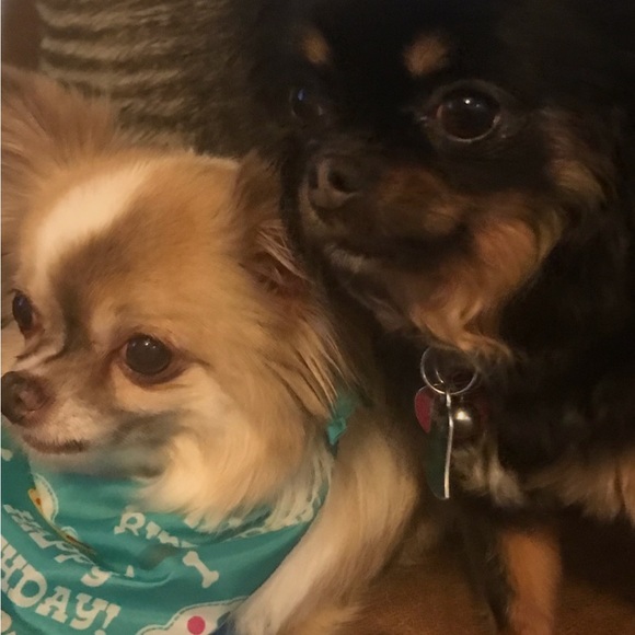 Hello My Posh Friends!! - Picture 7 of 11